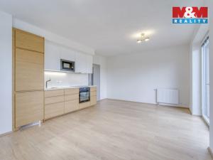 Pronájem bytu 1+kk, Heřmanova Huť - Vlkýš, U Pondu, 34 m2
