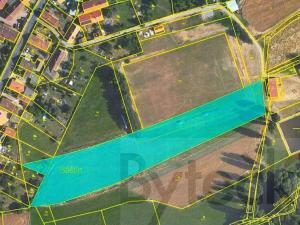 Prodej louky, Běštín, 8080 m2