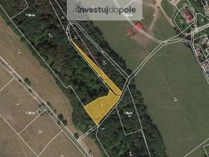 Prodej lesa, Úštěk - Držovice, 4976 m2