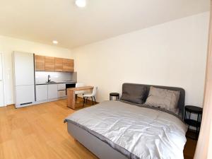Pronájem bytu 1+kk, Praha - Hrdlořezy, V třešňovce, 40 m2
