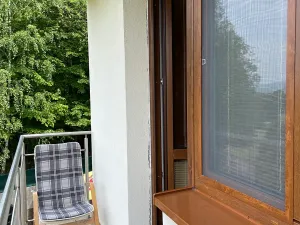 Pronájem pokoje, Pozlovice, 18 m2