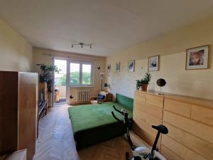 Pronájem bytu 2+1, Uherské Hradiště, Průmyslová, 54 m2