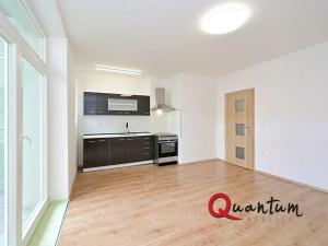 Pronájem bytu 3+kk, Praha - Vinohrady, Bořivojova, 68 m2