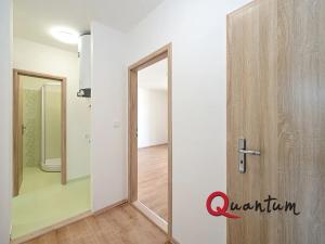 Pronájem bytu 3+kk, Praha - Vinohrady, Bořivojova, 68 m2