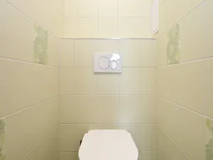 Pronájem bytu 3+kk, Praha - Vinohrady, Bořivojova, 68 m2