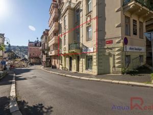 Prodej bytu 2+1, Karlovy Vary, Zámecký vrch, 48 m2