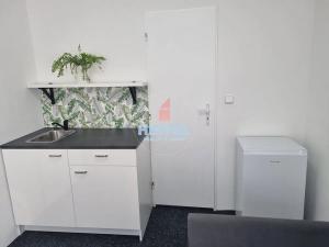 Pronájem bytu 1+kk, Olomouc, Štolbova, 25 m2