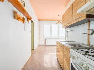 Prodej bytu 1+1, Tábor, Moskevská, 42 m2