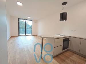 Pronájem bytu 1+kk, Praha - Břevnov, Radimova, 43 m2