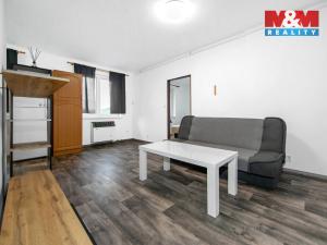 Pronájem bytu 2+kk, Bělá nad Radbuzou, Na výsluní, 39 m2