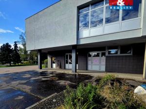 Prodej obchodního prostoru, Orlová - Lutyně, U Moravy, 28 m2