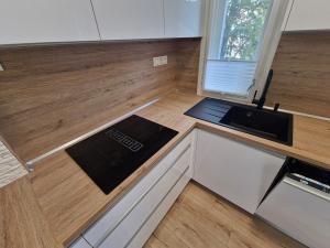 Pronájem bytu 2+kk, Bohumín - Nový Bohumín, Jana Palacha, 59 m2