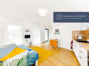 Pronájem bytu 1+kk, Brno, Francouzská, 27 m2
