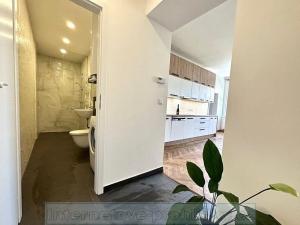 Pronájem bytu 2+kk, Praha - Žižkov, U kněžské louky, 80 m2