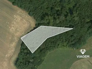 Prodej podílu lesa, Horka II, 821 m2