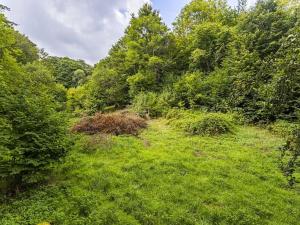 Prodej pozemku pro bydlení, Jílové u Prahy, Husova, 3117 m2