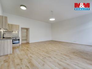 Pronájem bytu 1+kk, Plzeň - Jižní Předměstí, Americká, 59 m2