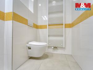 Pronájem bytu 1+kk, Plzeň - Jižní Předměstí, Americká, 59 m2