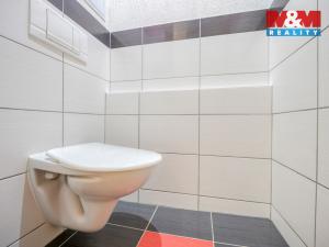 Prodej bytu 2+1, Sokolov, Švabinského, 59 m2