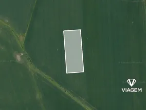 Prodej podílu pole, Nepřevázka, 6530 m2