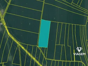 Prodej podílu pole, Nepřevázka, 6530 m2