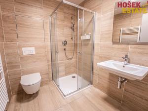 Pronájem bytu 1+kk, Brno, Nové sady, 44 m2
