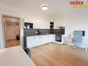 Pronájem bytu 1+kk, Brno, Nové sady, 44 m2