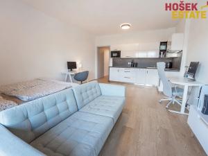 Pronájem bytu 1+kk, Brno, Nové sady, 44 m2