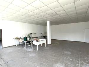 Pronájem skladu, Louny, Postoloprtská, 234 m2