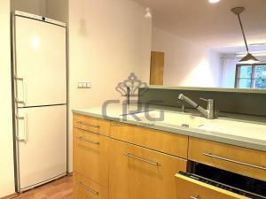 Pronájem bytu 2+kk, Brno - Lesná, Haškova, 87 m2