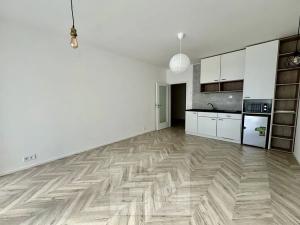 Pronájem bytu 1+kk, Brno, Cejl, 38 m2