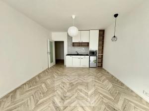 Pronájem bytu 1+kk, Brno, Cejl, 38 m2