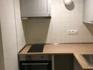 Pronájem bytu 1+1, Praha - Karlín, Březinova, 40 m2