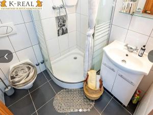 Pronájem bytu 1+kk, Brno, Pražská, 23 m2