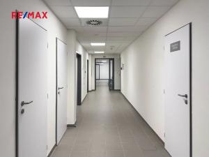 Pronájem ordinace, Milovice, Spojovací, 64 m2