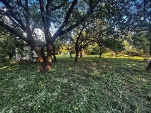 Prodej zahrady, Modřice, 851 m2
