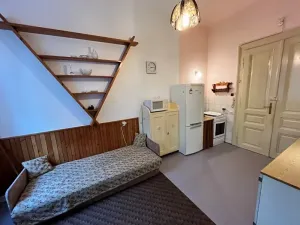 Pronájem bytu 1+1, Jihlava, Bezručova, 52 m2