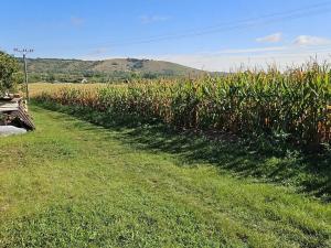 Prodej pozemku pro bydlení, Pouzdřany, Sklepní, 521 m2