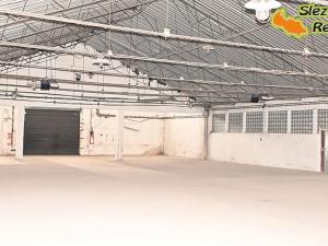 Pronájem skladu, Ostrava, Výškovická, 740 m2