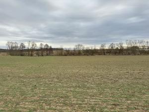 Prodej komerčního pozemku, Malotice, 12163 m2