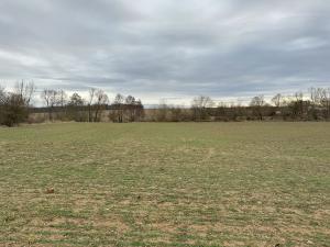 Prodej komerčního pozemku, Malotice, 12163 m2