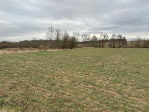 Prodej komerčního pozemku, Malotice, 12163 m2