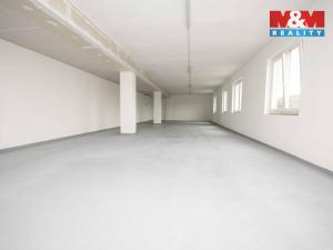 Pronájem skladu, Radošovice, 575 m2