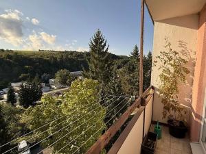 Pronájem bytu 1+kk, Zlín, Družstevní, 32 m2