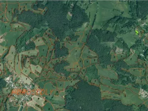Dražba louky, Čkyně, 326 m2