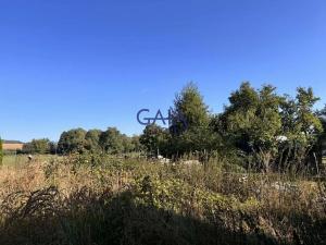 Prodej rodinného domu, Mladějov na Moravě, 764 m2