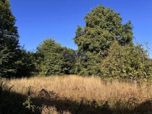 Prodej rodinného domu, Mladějov na Moravě, 764 m2