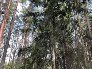 Prodej podílu pozemku, Velký Ratmírov, 3510 m2