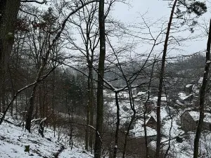 Prodej podílu lesa, Vysoká, 2782 m2