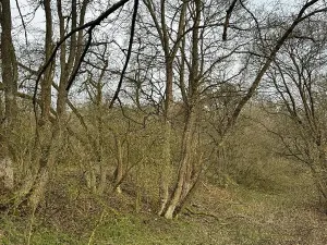 Prodej pozemku, Sloup, 4755 m2